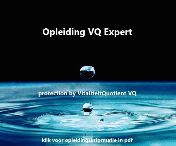 20210920 Button2a PDF opleiding VQ Expert pexels photo 220429 reflectie man zon
