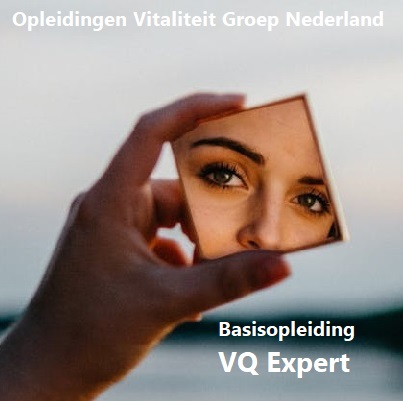 Actueel Banner Opleidingsinfo VQ Expert pexels photo 2460534 reflectie VQ HCP 400p V2