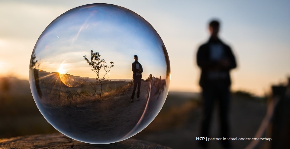 BASIS foto HCP5 Reflectie globe man V8